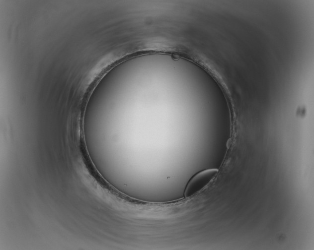 X0000116830011200912181445