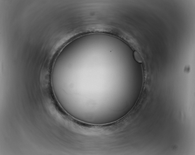 X0000116830012200912181445