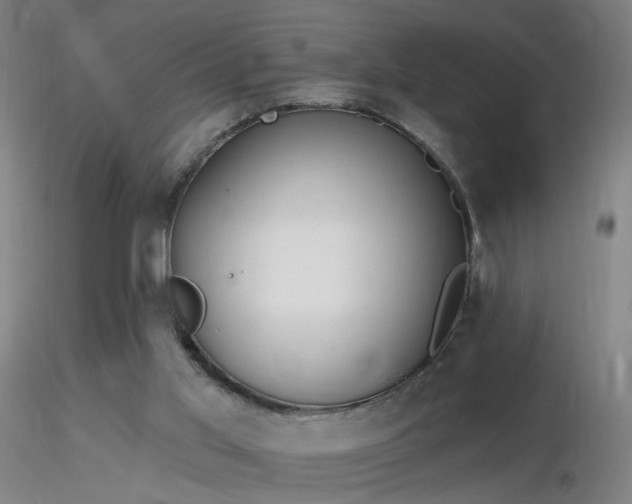 X0000116830013200912181445