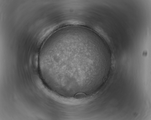 X0000116830014200912181445