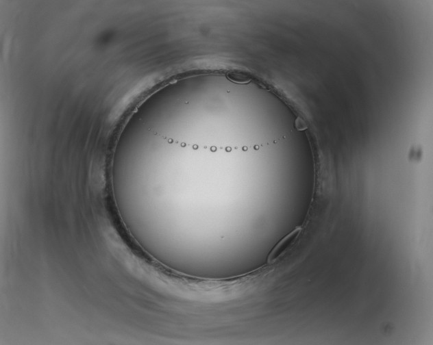 X0000116830015200912181445