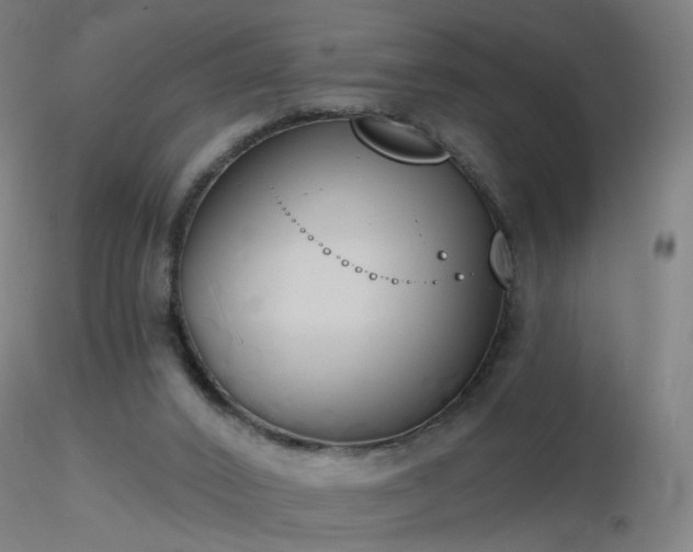 X0000116830016200912181445