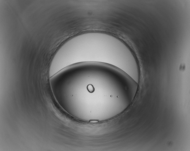 X0000116830017200912181445
