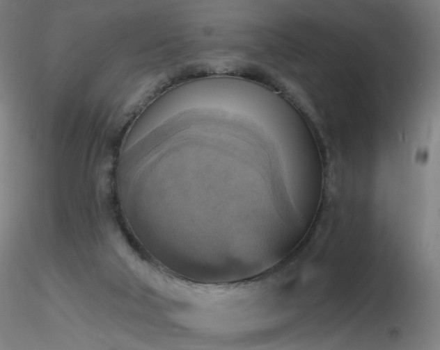 X0000116830018200912181445