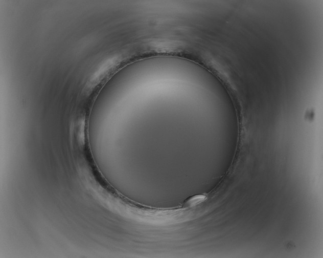 X0000116830019200912181445