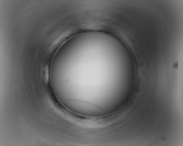X0000116830020200912181445