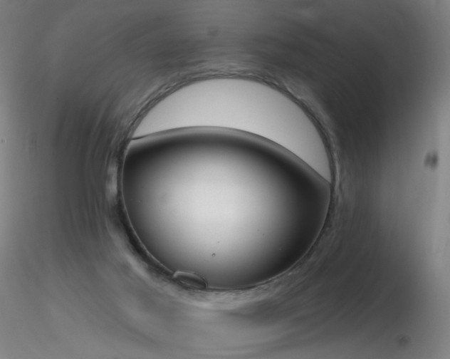 X0000116830021200912181445