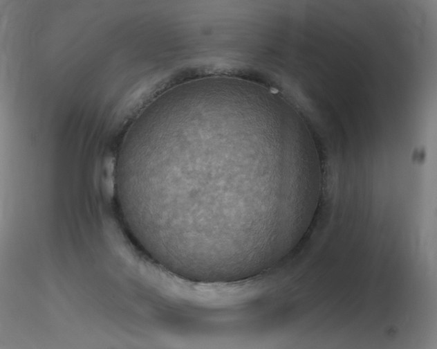 X0000116830022200912181445