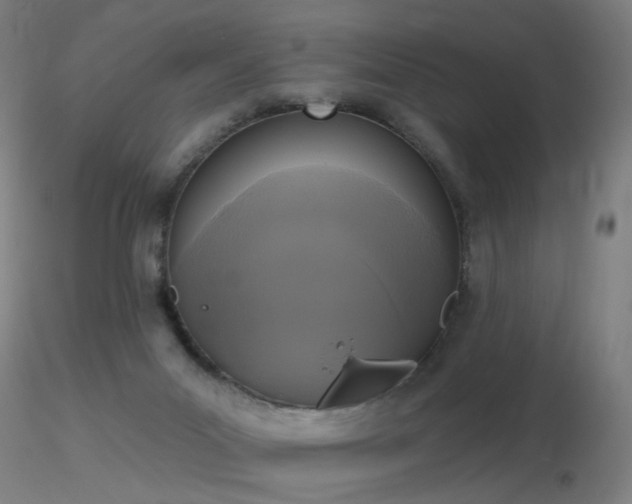 X0000116830023200912181445