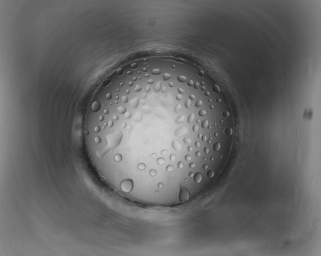 X0000116830024200912181445