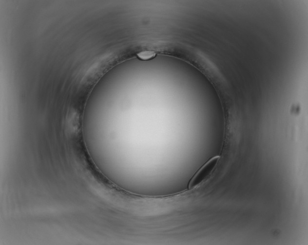 X0000116830025200912181445