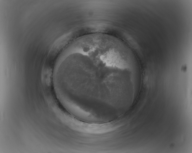 X0000116830026200912181445