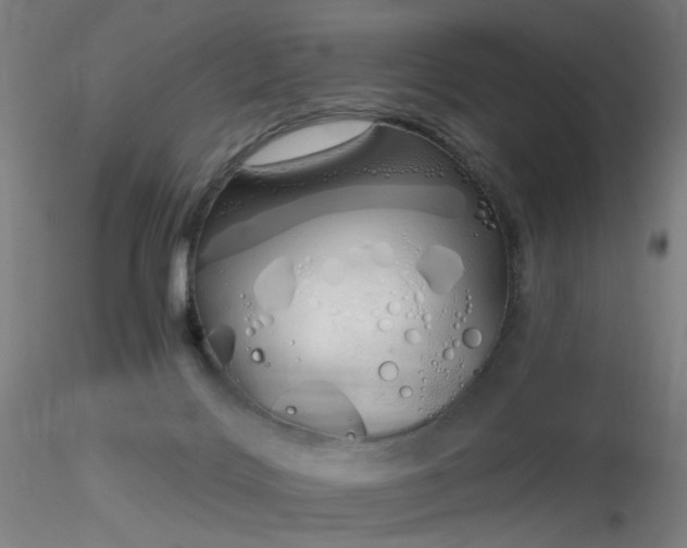 X0000116830028200912181445