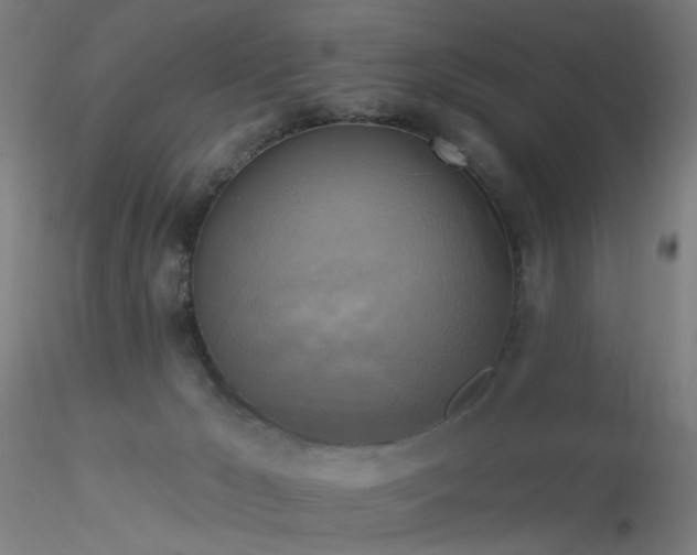 X0000116830029200912181445