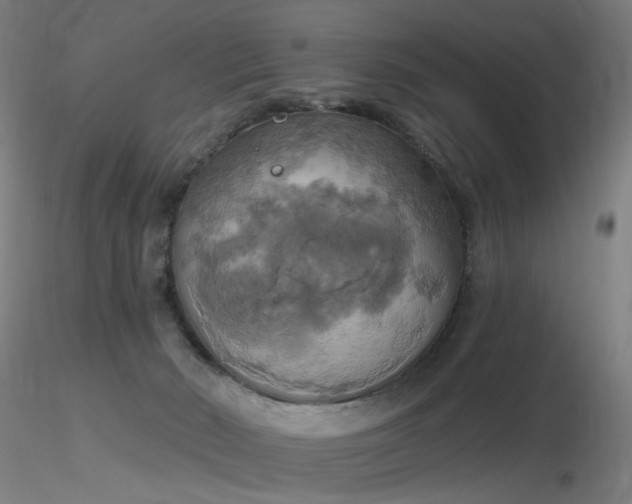X0000116830030200912181445