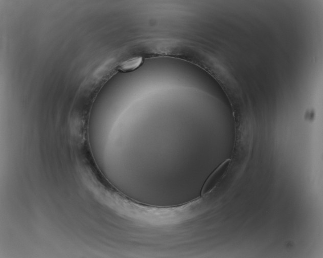 X0000116830031200912181445