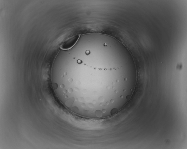 X0000116830032200912181444