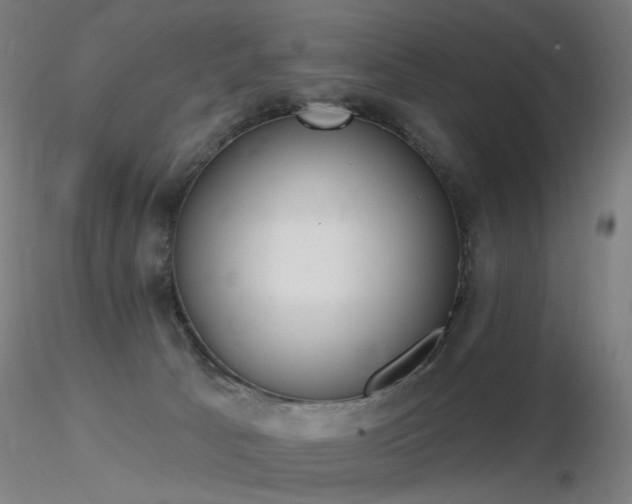 X0000116830033200912181444