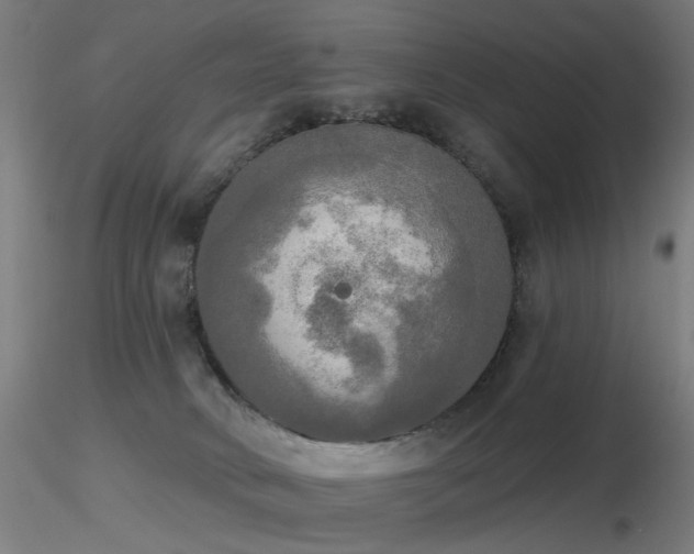 X0000116830034200912181444