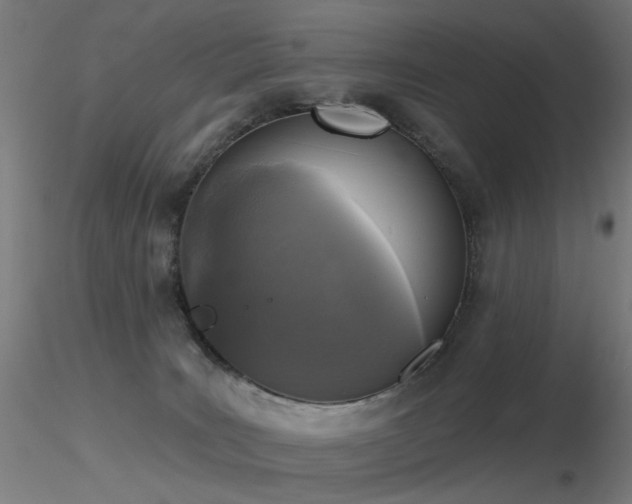 X0000116830035200912181444