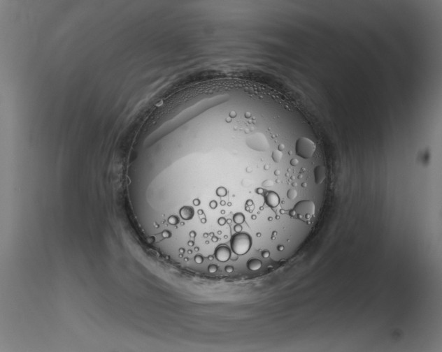 X0000116830036200912181444