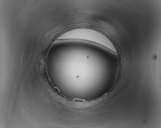 X0000116830037200912181444
