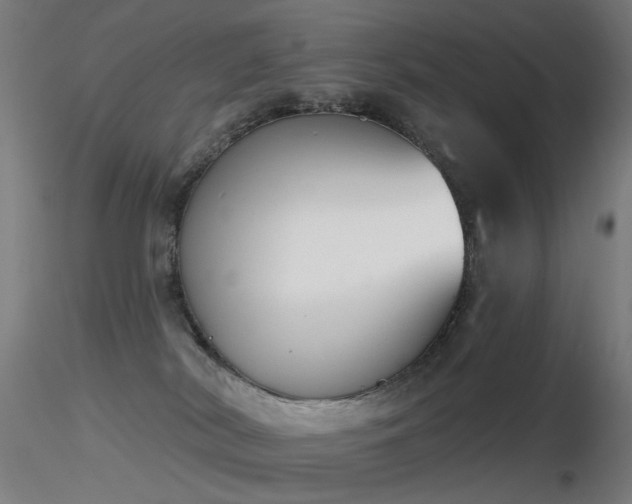 X0000116830038200912181444