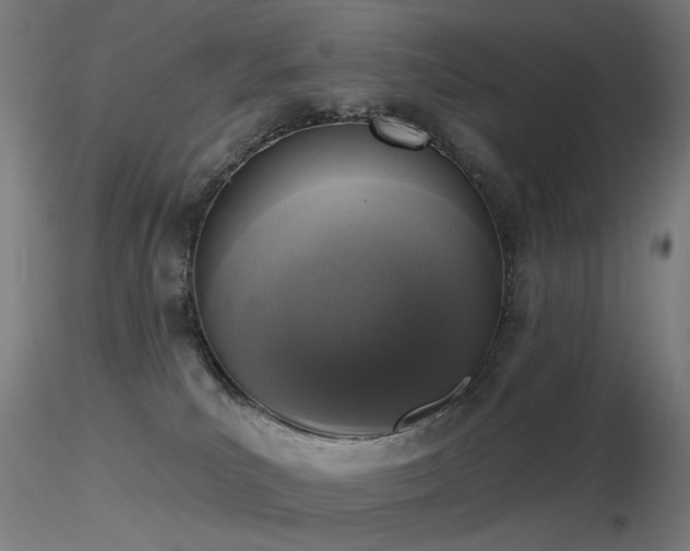 X0000116830039200912181444