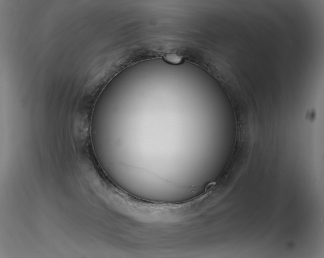 X0000116830040200912181444