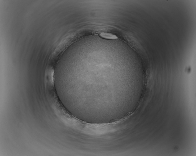 X0000116830041200912181444