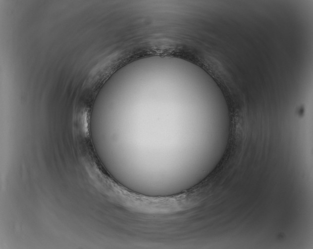 X0000116830042200912181444