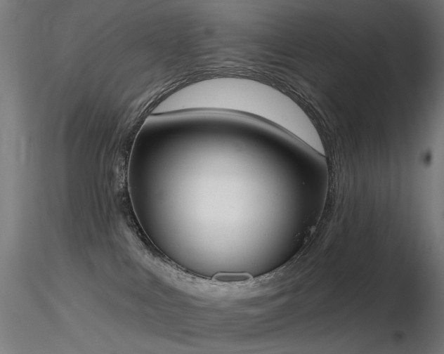X0000116830043200912181444