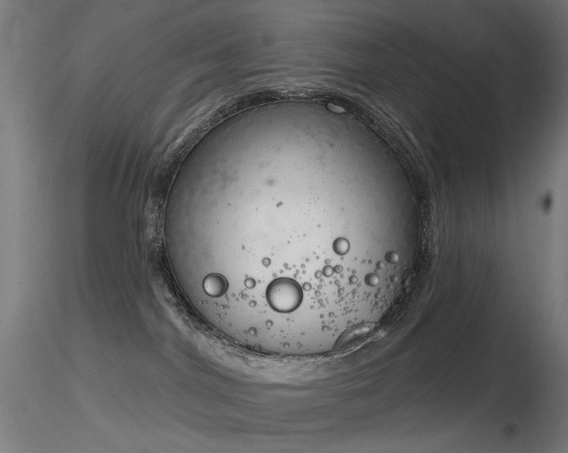 X0000116830044200912181444