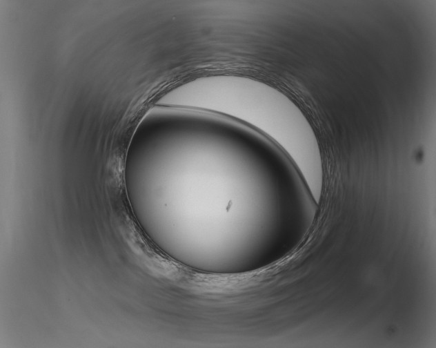 X0000116830045200912181444
