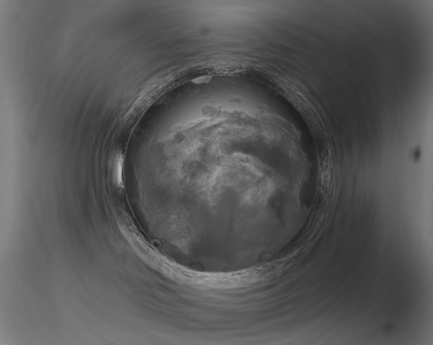 X0000116830046200912181444