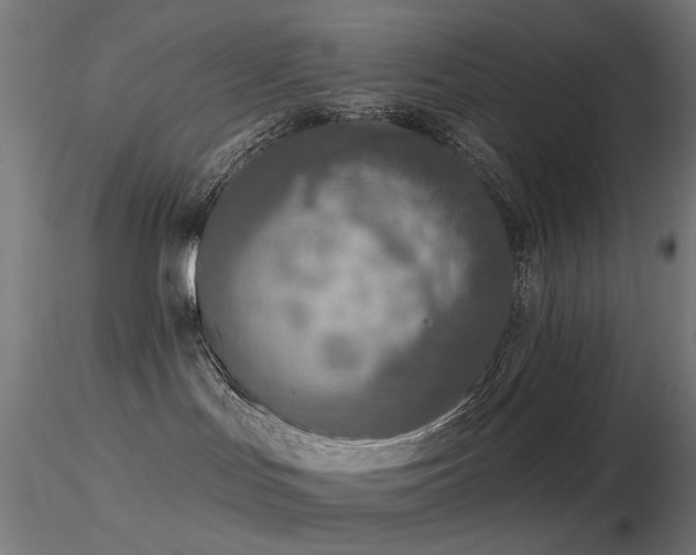 X0000116830047200912181444