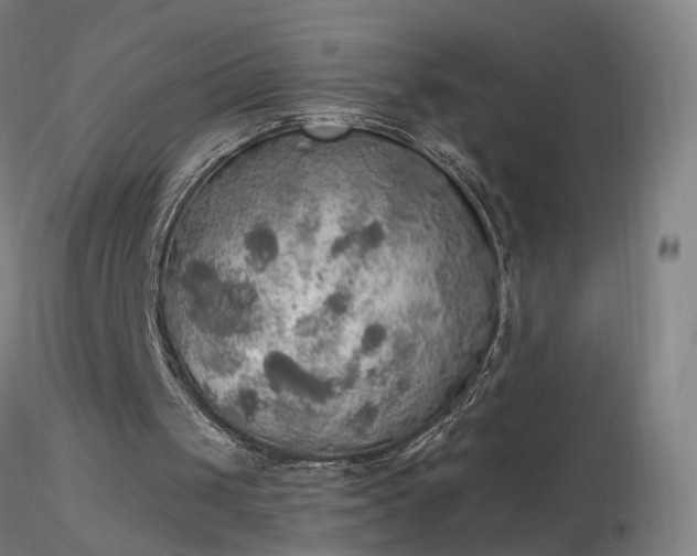 X0000116830049200912181443