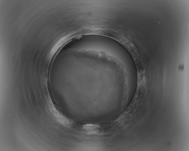 X0000116830051200912181443
