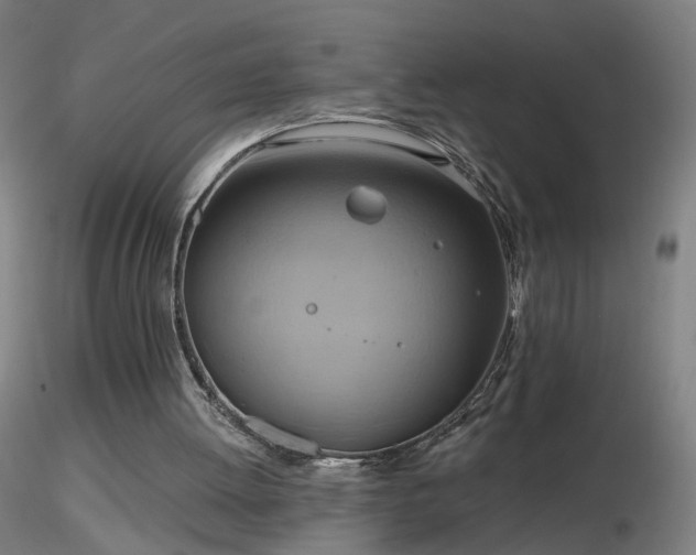 X0000116830052200912181443