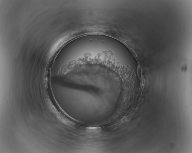 X0000116830053200912181443