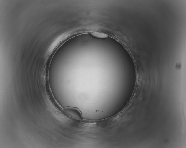 X0000116830054200912181444