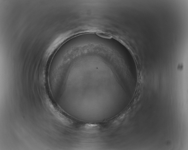 X0000116830055200912181444