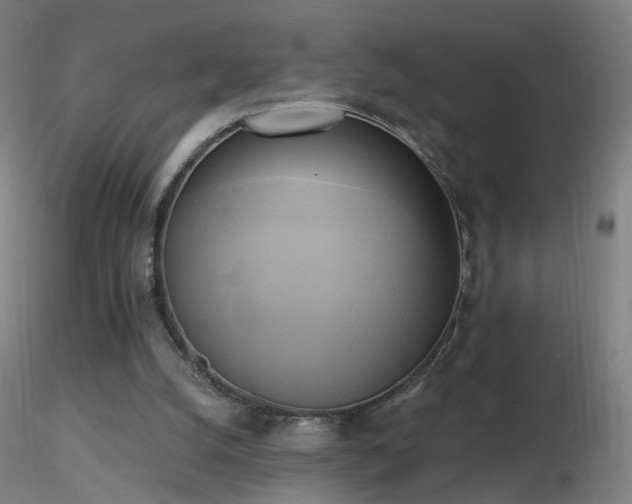 X0000116830056200912181444