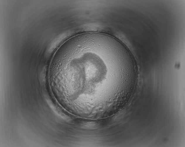 X0000116830058200912181444