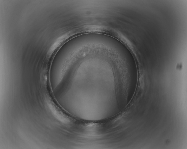 X0000116830059200912181444