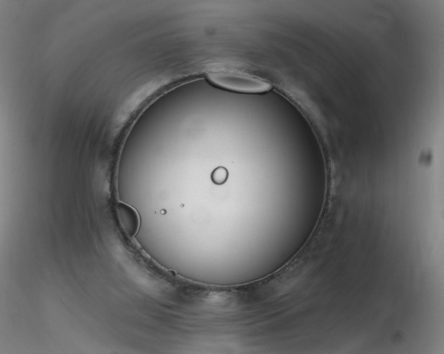 X0000116830060200912181444