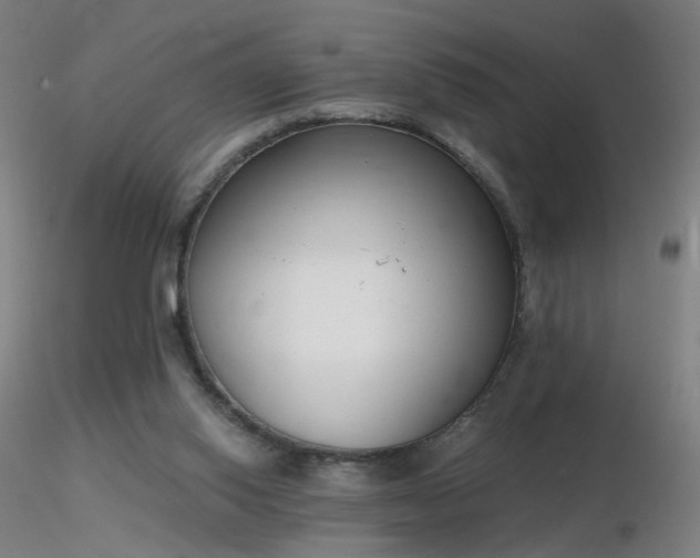 X0000116830062200912181444