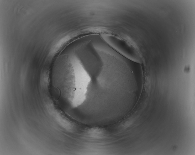 X0000116830063200912181444