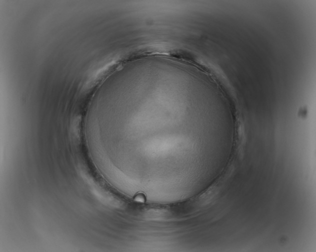 X0000116830066200912181444
