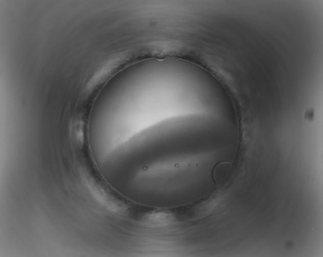 X0000116830067200912181444